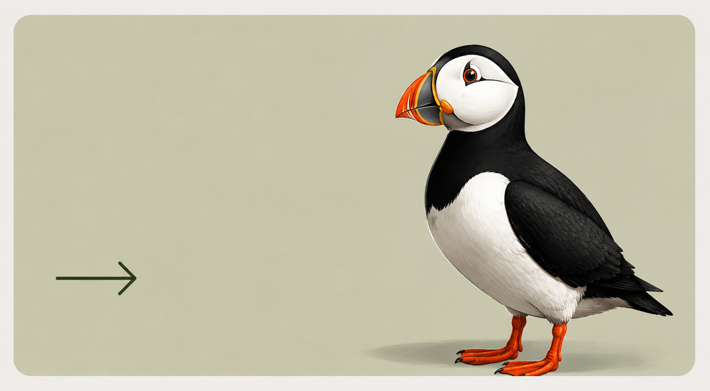 Illustration of an Atlantic puffin